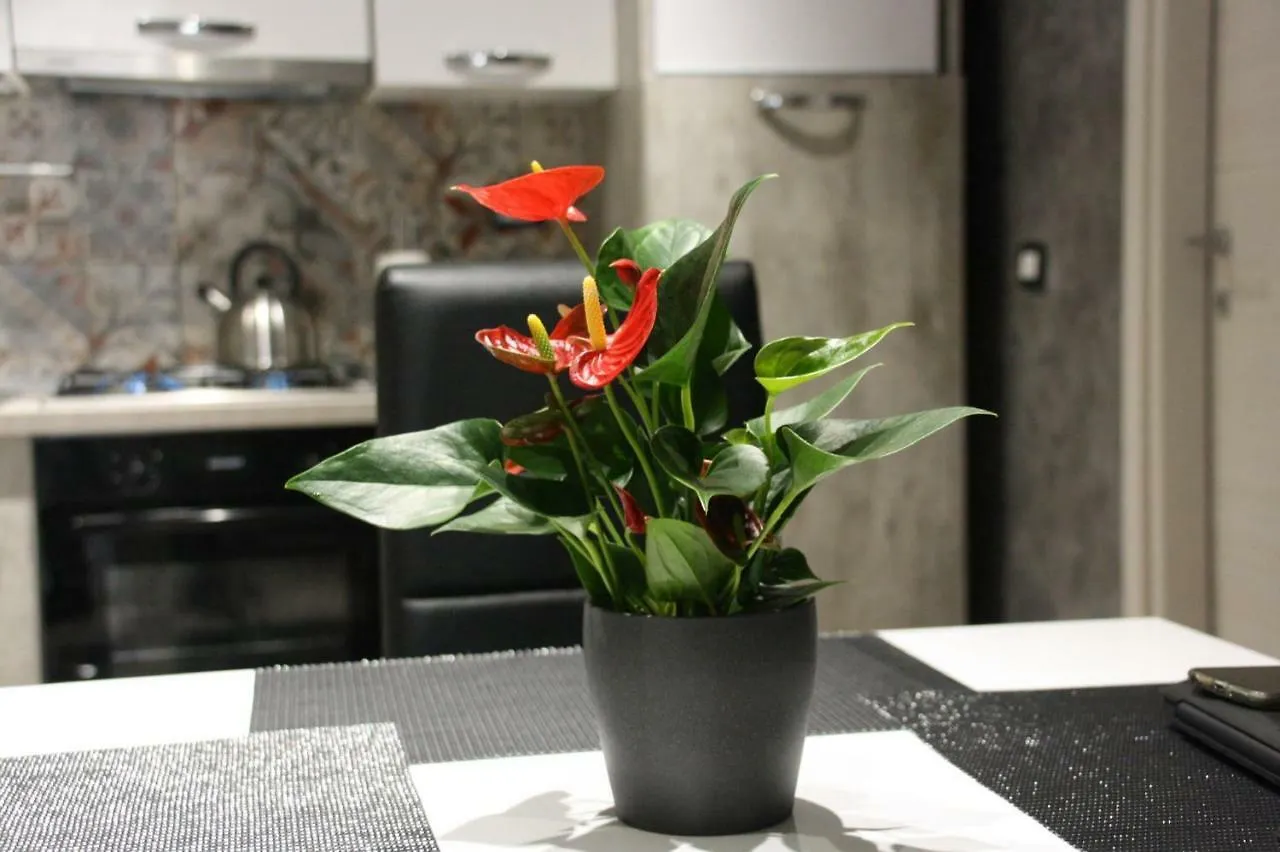 Loft Ramondetta 30Tre Apartment Catania Italy